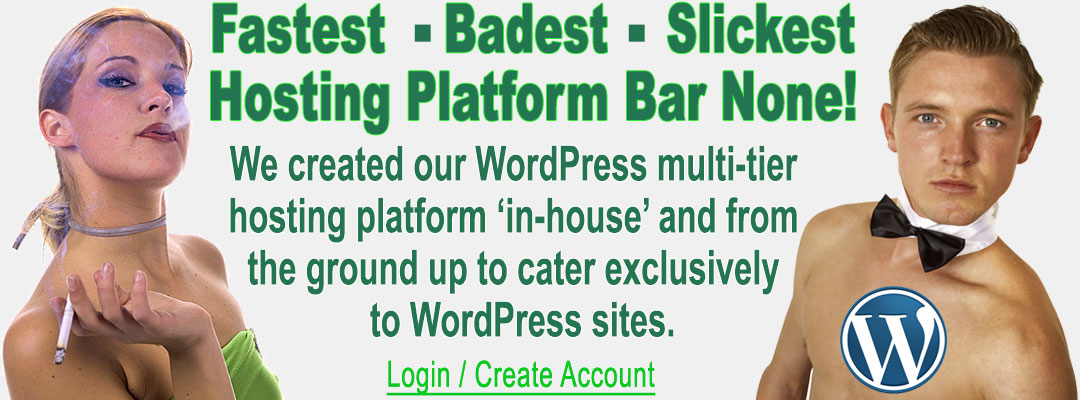 wordpress-header-1